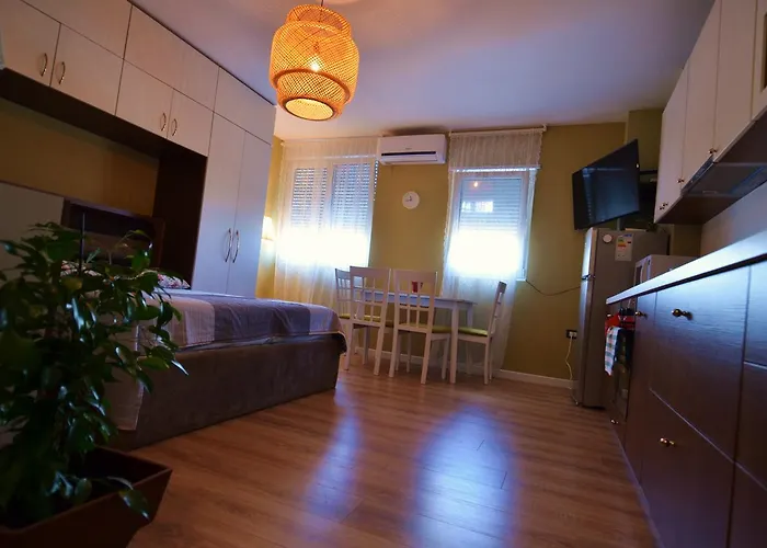 Apartament Silva 2 *